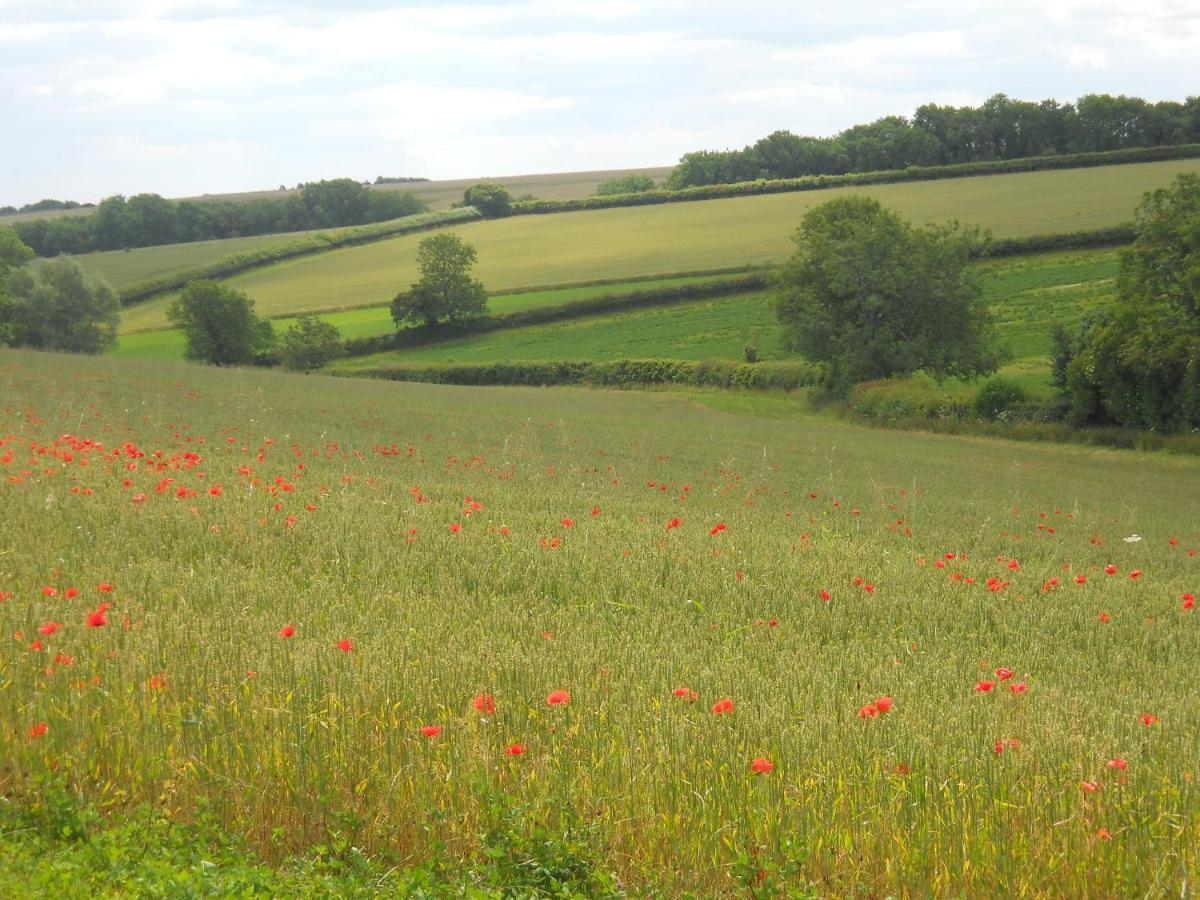 Far Hill Cottage Wyck Rissington Екстериор снимка